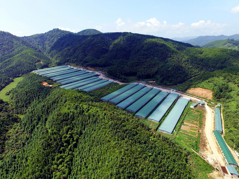 南宫国际(中国游)官方网站