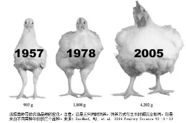 南宫国际(中国游)官方网站