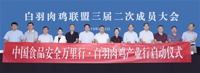 南宫国际(中国游)官方网站